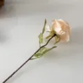 Single artificial retro rose flower silk vintage faux floral home decor tabletop ornament. - Champagne
