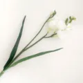 Rametto di fiori di Freesia artificiale pianta finta per decorazione casa matrimonio - Bianco