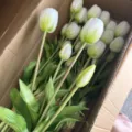 Artificial tulip bouquet soft touch 5-head white flowers for home decor arrangement. - White