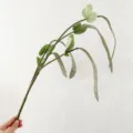 Artificial hanging bean branch faux green plant decor for home, room, and floral bouquet display. - Green