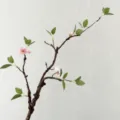 Ramo di fiori di begonia artificiale foglie verdi morbido flessibile zen decorazione casa. - Rami Morti Rosa Chiaro