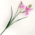 Artificial pink freesia flower branch for home decor, wedding arrangement and table centerpiece. - Purple Pink