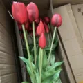 Artificial tulip flower bundle soft touch fake flowers home wedding decor table arrangement - Black Red