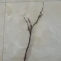 Ramo di rattan artificiale flessibile per decorazioni zen e composizioni floreali SKU. - Rami secchi