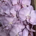 Artificial purple orchid flower heads bulk for DIY craft, apparel, hat, and shoe accessories. - Purple Pink Small