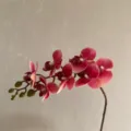 Mini 3D artificial phalaenopsis orchid flower stem for home decoration, pink gradient. - Dark Red
