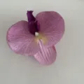 Artificial phalaenopsis orchid flower head for DIY shoes apparel hat decoration craft accessories - Pink Small