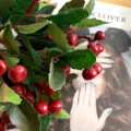 Artificial red berries branch simulation foam flower for home wedding floral arrangement - Red