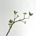Artificial foam branch decorative fake vine branch flexible floral arrangement prop. - Green Fruit