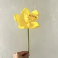 Single artificial PU orchid flower for home decoration, realistic touch floral prop yellow. - Yellow