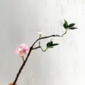 Artificial flower branch simulation rattan pink flowers home decoration wedding variant. - Hydrangea Pink
