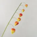 Artificial Chinese lantern fruit branch fake Physalis stem for home wedding floral decor - Orange
