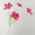Artificial cosmos flowers, 4 heads pink fake flowers for home room and wedding decoration. - Purple Rose Red