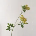 Artificial yellow lace flower branch for home decor and wedding arrangement, single stem plant. - Yellow