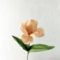 Peach artificial tulip single stem fake flower for home hotel decor floral arrangement - Brown Coffee