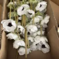 Artificial white anemone silk flowers bulk, perfect for home decor, dining table, and photography props. - White