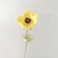 Artificial yellow anemone single flower fake floral decor for home table photography prop - Yellow