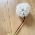 Artificial single dandelion flower fake plant for wedding home decor floral arrangement SKU - White