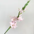 European style 4 fork artificial gladiolus pink fake flower for home wedding decor floral - Pink