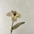 PU vintage artificial tulip single flower for home decor wedding party decoration prop - Ink Grey