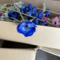 Artificial blue pink anemone silk flowers single stem floral decor props for home. - Sapphire Blue