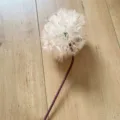 Artificial single dandelion flower simulation plant for wedding home decor minimalist floral art - Champagne
