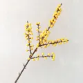 Artificial yellow berry branch, silk winterberry floral stem for home decor and vase arrangement. - Small Branch Yellow