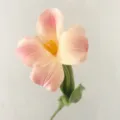 Pink artificial tulip flower single stem, realistic fake floral decor for home hotel room. - Champagne Pink
