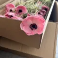 Artificial pink anemone single branch fake flower for home decor photography props package view - Pink