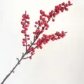 Artificial Red Berry Stem Fake Holly Christmas Floral Home Decoration Display Item - Medium Branch Red