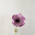 Artificial PU single stem pink anemone flower for home table decor and photo props. - Purple Pink