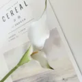 Fleur de lys calla artificielle blanche simple tige EVA pour accessoires photo déco variante - Blanc
