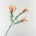Artificial flower branch pink orange tubular floral stem for modern home luxury decor display - Orange