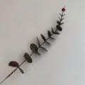 Artificial eucalyptus single branch dark green leaf for home decoration and floral art - Autumn Brown