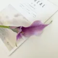 Fleur De Lis Calla Artificielle Tige Unique Vintage Violet EVA Accessoire Photo Déco - Rose Pourpre