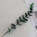 Artificial eucalyptus plant branch green money leaf for modern home interior decor style - Dark Green
