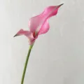Fleur de Calla Artificielle Unique Branche Rose Vintage EVA Décoration Accessoire Variante - Rose