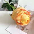 Rose artificielle française rétro à bord brûlé décoration maison accessoire photographie - Orange