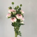 mazzo di fiori finti di ranuncolo rosa in seta per decorazione matrimonio casa stile - Rosa