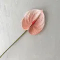 Artificial Pink Anthurium Single Stem Fake Flower Home Decor Floral Arrangement SKU - Pink
