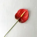 Artificial red anthurium single stem flower for home decor and floral arrangement. - Red