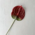 Artificial red anthurium single stem fake flower for home decoration floral arrangement supply - Burgundy