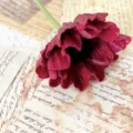 Single artificial poppy flower simulation Iceland poppy for home dining table decor aesthetic. - Dark Red