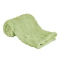 Green baby plush blanket with cute embossed heart pattern, soft and fluffy throw for nap. - Green / 76*100cm