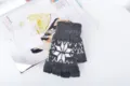 Guanti invernali lavorati a maglia senza dita con motivo a fiocco di neve nordico per studenti. - Taglia unica / Grigio