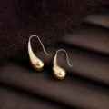 Coffee gold shiny smooth geometric teardrop hook earrings, elegant and versatile daily wear. - Waterdrop Bean Style (8272)