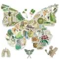 Pack d'autocollants rétro verts esthétiques, 50 pcs papillon botanique nature imperméables. - 50 Pièces/Paquet / Vert