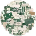 Dettagli ravvicinati di adesivi in carta verde vintage con bordi strappati e botanica. - 50 Pezzi/Confezione
