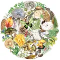 Adesivo forestale botanico vintage con funghi foglie e farfalla per decorare il diario - 50 Pezzi/Confezione