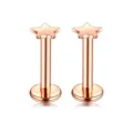 Gioiello da piercing per orecchio e labret in acciaio inossidabile color oro rosa stella - 1 Pezzo / Stella a 5 punte-Oro rosa